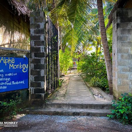 The Alpha Monkey Hotel & Tree House Тангалле Екстер'єр фото