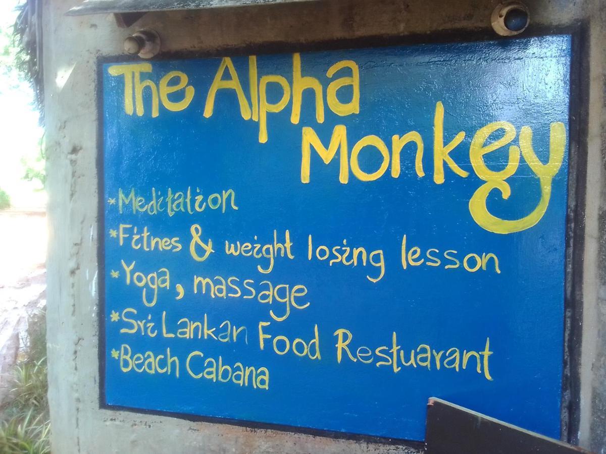 The Alpha Monkey Hotel & Tree House Тангалле Екстер'єр фото