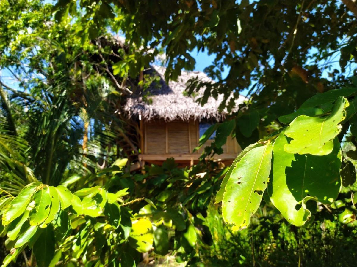 The Alpha Monkey Hotel & Tree House Тангалле Екстер'єр фото