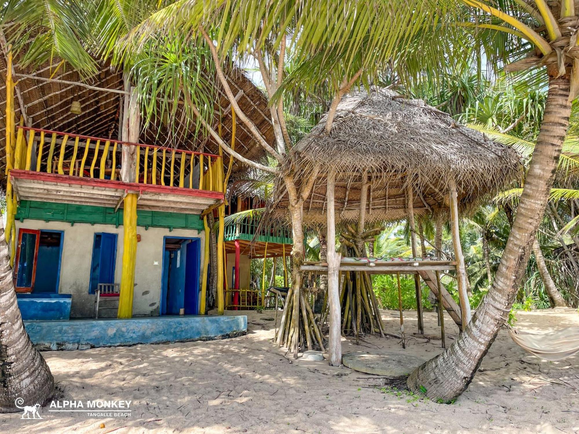 The Alpha Monkey Hotel & Tree House Тангалле Номер фото